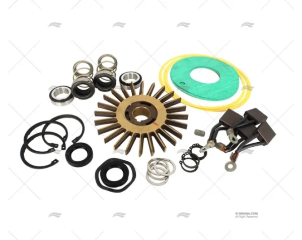 kit reparacion bomba acm301 311bt 24v recambios gianneschi imnasa ref 34000974