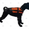 chaleco-para-perros-talla-s-modelo-oscar-veleria-san-giorgio-ayudas-flotacion-50n-imnasa-ref-90250170-5.webp CHALECO PARA PERROS TALLA S MODELO OSCAR VELERIA SAN GIORGIO