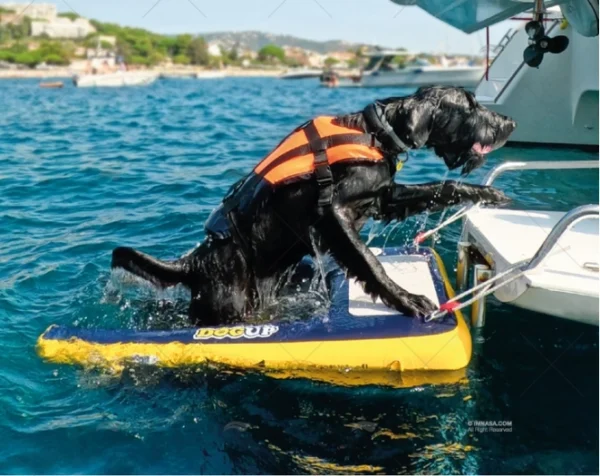 ESCALERA HINCHABLE PARA PERROS - DOGUP IMNASA