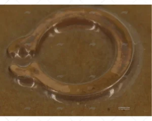 JUNTA ESTANQUEIDAD PARA ACB61 GIANNESCHI