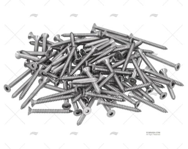 TORNILLO AISI316 4,2x38mm CAB.EXAG. 100u FORESTI SUARDI