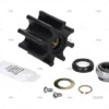kit-reparacion-bomba-tipo-f7b-8-johnson-spx-recambios-johnson-spx-imnasa-ref-98000958-1.webp KIT REPARACION BOMBA TIPO F7B-8 JOHNSON - SPX