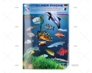 desplegable-peces-mediterraneo-aleman-cartografia-accesorios-imnasa-ref-16400283.webp DESPLEGABLE PECES MEDITERRANEO ALEMAN